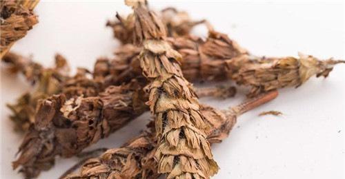 夏枯草降血压的效果好吗