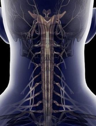 两句话治好颈椎病！(1)