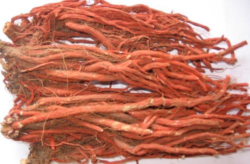 丹参功效与作用及禁忌