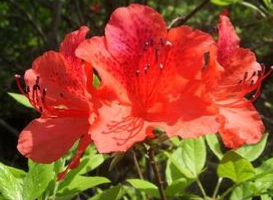 屏幕快照 2016-04-08 上午11.55.03.png